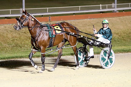Blair Orange brings Copy That back to scale after a dominant win at Addington last season. PHOTO: Ajay Berry/Race Images.