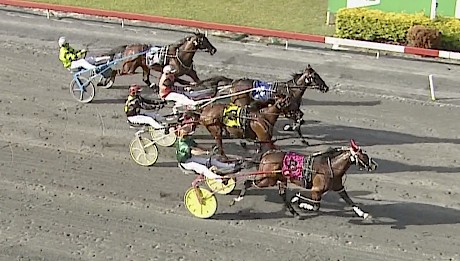 Larry Lincoln is just too fast for his rivals at Albion Park on Tuesday night.