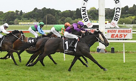 Lincoln Star holds on strongly for Jonathan Riddell at Otaki nine days ago. PHOTO: Peter Rubery/Race Images.