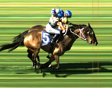 The official photo finish gives it to Dragon Storm. PHOTO: FinishLinePhotos Ltd.