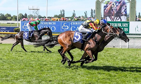 Lincoln King, outer, is cutting back Dragon Storm but he comes up half a head short. PHOTO: Ajay Berry/Race Images.