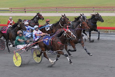 Larry Lincoln makes it four wins on end with another display of sheer speed in Brisbane today. PHOTO: Dan Costello.