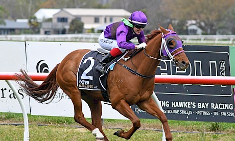 Lincoln Hills has won three races at Awapuni and has a lot in his favour there on Saturday. PHOTO: Peter Rubery/Race Images.