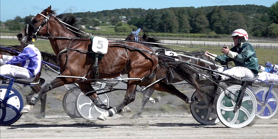 Maurice McKendry asks Copy That to start his big run turning for home at Pukekohe today.