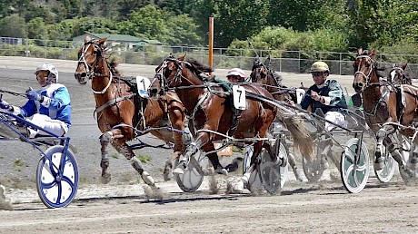 The pace is really on as American Dealer sits parked in his workout last Saturday.