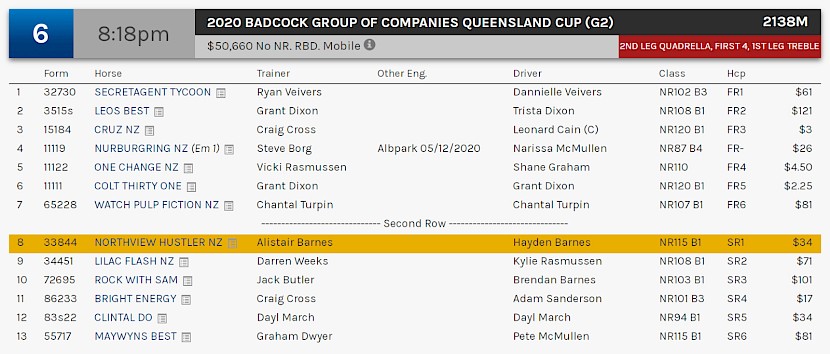 Northview Hustler races at 11.18pm NZ time at Albion Park on Saturday night.