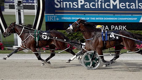 American Dealer has Shan Noble well covered at the finish of the Northern Stakes.