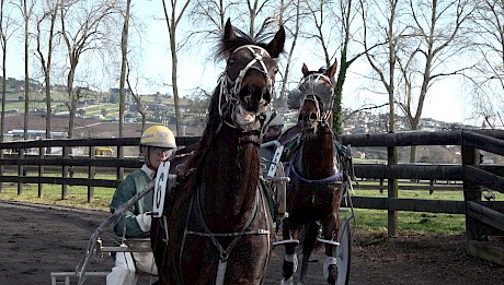 Brian Christopher, left, after a workout at Pukekohe.