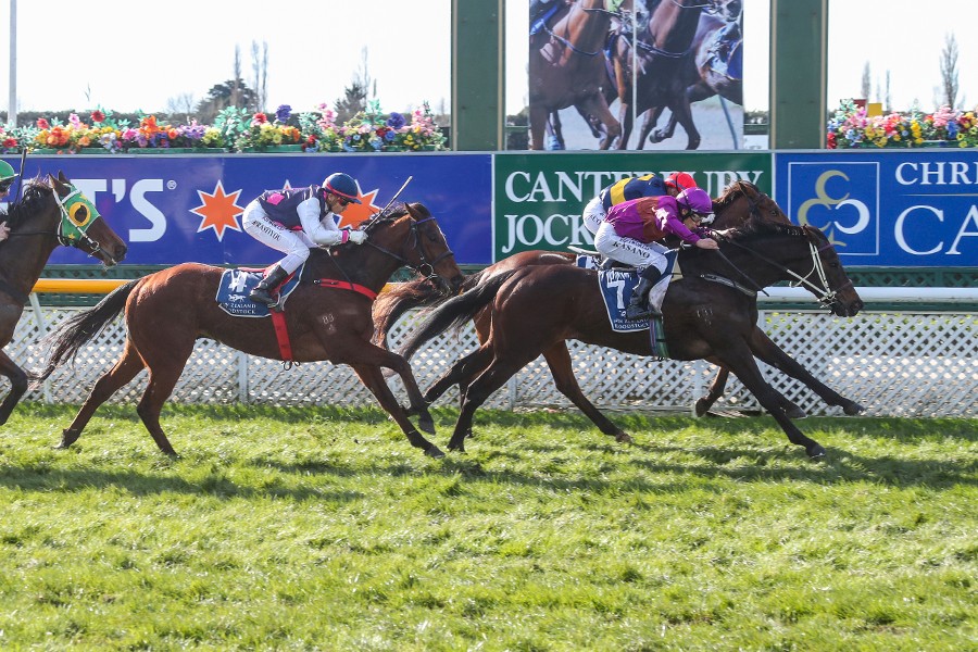 Platinum Rapper worth a spin at $12 after ‘fantastic’ track gallop at ...