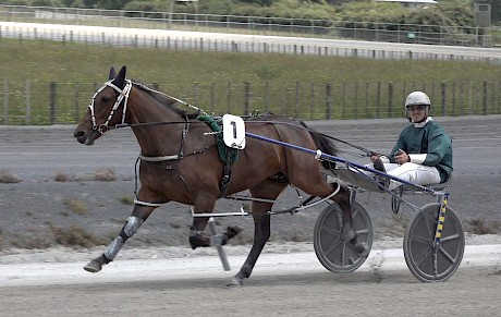 Major Grace performed OK for Zachary Butcher in her first trial.