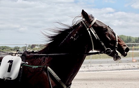 Argyle had his nose in front at the line on Saturday.