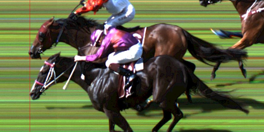 The judge found one pixel in it - that’s one 2000th of a second that Savy Yong Blonk, top, has over Platinum Invador in today’s City Of Auckland Cup. PHOTO: Murray White/Auckland Tote Photofinish