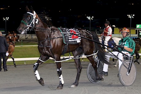 Hayden Barnes brings Northview Hustler back to scale after one of his best wins. PHOTO: Dan Costello.