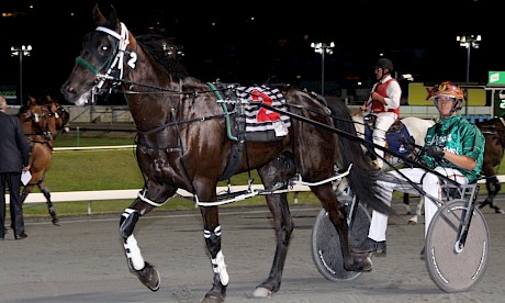 Northview Hustler (Hayden Barnes) is as good as trainer Al Barnes has had him. PHOTO: Dan Costello.