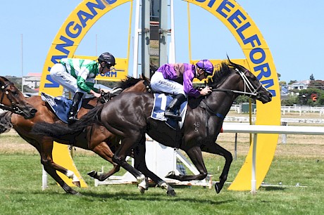 Lincoln Hanover breaks his maiden duck with a 10 out of 10 Jonathan Riddell ride. PHOTO: Peter Rubery/Race Images.