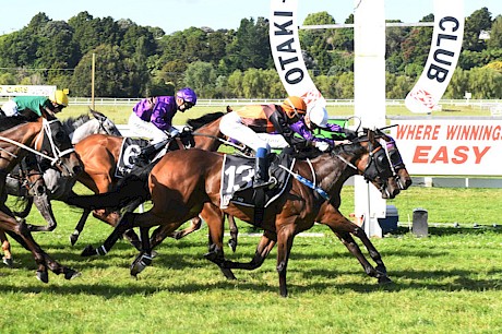 Platinum Spirit, obscured, gets a nose margin over Cast In Bronze at Otaki. PHOTO: Peter Rubery/Race Images.
