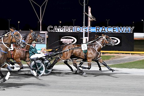 Captain Nemo fights bravely to win at Cambridge. PHOTO: Chanelle Lawson.