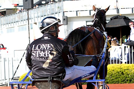 The Lone Star colours have been carried by scores of Trevor Casey’s topliners including millionaire trotter Stent. PHOTO: Ajay Berry/Race Images.