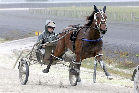 Major Grace has drawn the outside of the gate. PHOTO: Trish Dunell.