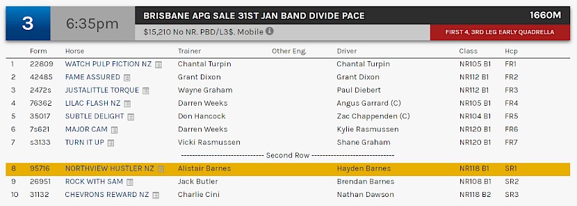 Northview Hustler races at 9.35pm NZ time at Albion Park on Saturday night.