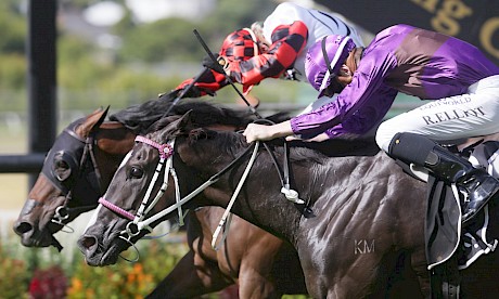 Platinum Invador just fails to pick up Savy Yong Blonk in the City Of Auckland Cup on New Year’s Day. PHOTO: Trish Dunell.