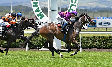 Lincoln Falls showed all his old explosive speed in winning first-up for 20 months in December. PHOTO: Peter Rubery/Race Images.