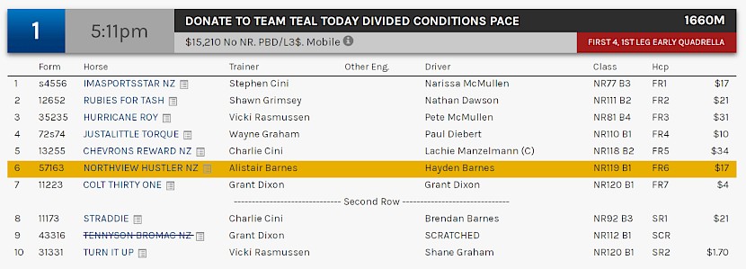 Northview Hustler races at 8.11pm NZ time at Albion Park on Saturday night.