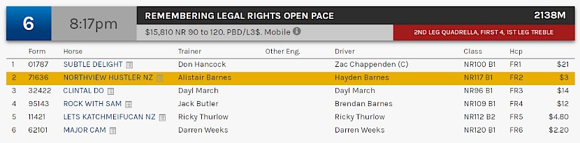 Northview Hustler races at 11.17pm NZ time at Albion Park on Saturday night.