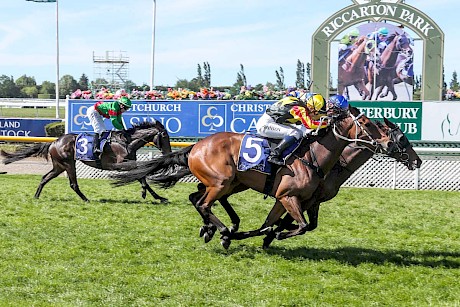 Lincoln King is nosed out by Dragon Storm in the New Zealand Cup. PHOTO: Ajay Berry/Race Images.