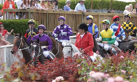Platinum Invador (Leith Innes) returns at the head of the field after winning the 2020 City Of Auckland Cup at Ellerslie. Ryan Elliot, who is behind him on fourth-placed Concert Hall (green and yellow), has the ride on Saturday. PHOTO: Trish Dunell.
