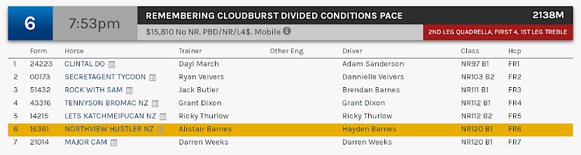 Northview Hustler races at 10.53pm NZ time at Albion Park on Saturday night.