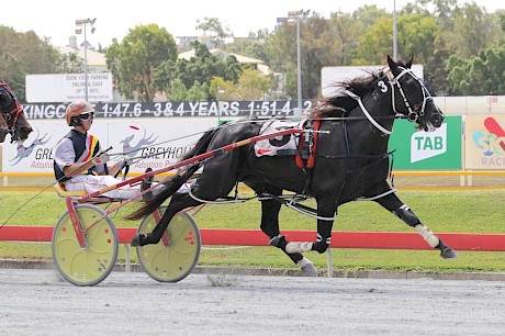 Trojan Banner … won seven straight before a high priced sale to the States. PHOTO: Dan Costello.