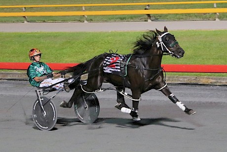 Northview Hustler has been the flag bearer, winning eight races and more than $100,000 in stakes. PHOTO: Dan Costello.