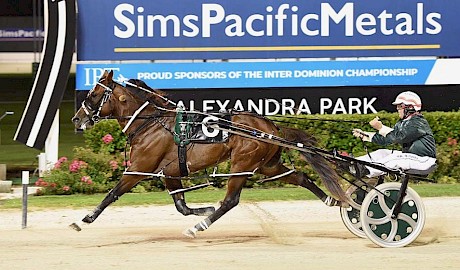 Copy That is untroubled to win the Lincoln Farms The Founders Cup last week. PHOTO: Megan Liefting.