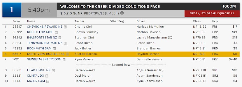 Northview Hustler races at 8.40pm NZ time at Albion Park on Saturday night.