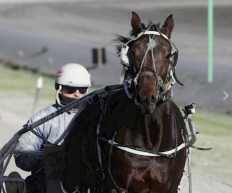 Arden’s Horizon has been consistently good at the workouts and trials.