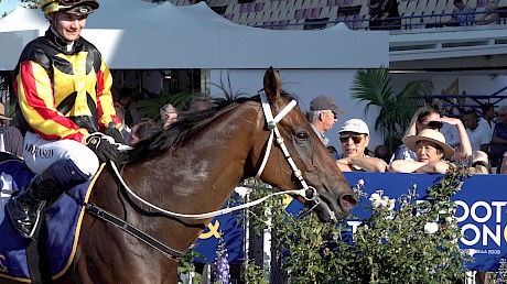 Danielle Johnson brings Lincoln King back after the cup.