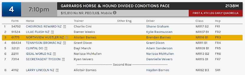 Northview Hustler races at 10.10pm NZ time at Albion Park on Saturday night.