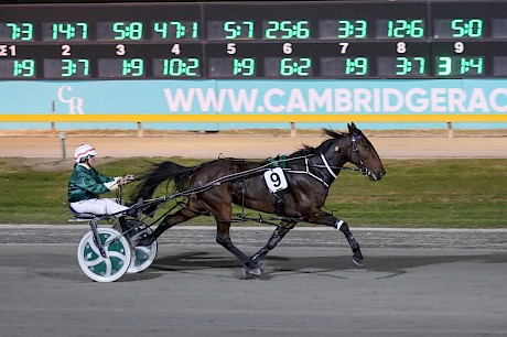 Tartan Robyn careers away at Cambridge and could have done another lap according to driver Maurice McKendry. PHOTO: Angelique Bridson.