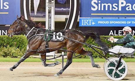 Tartan Robyn scores a decisive win at Alexandra Park on Friday night. PHOTO: Megan Liefting.
