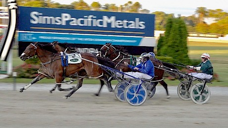 Copy That runs a brave third behind Amazing Dream and Spankem in the Auckland Cup. PHOTO: Megan Liefting.