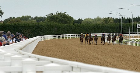 Synthetic trial winners are converting their form on raceday.