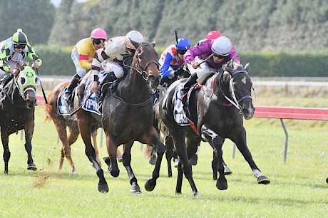 Kozzi Asano, right, gets the best out of Platinum Star to claim win No. 1000 for Lisa Latta. Her Mother’s Day ended with a visit to Palmerston North Hospital to visit Asano who broke his collarbone when he clipped heels and fell in the last race. PHOTO: Peter Rubery/Race Images.
