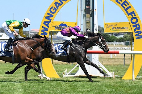 Platinum Petals worked hard to lead at Wanganui in January and fought on grimly to win. PHOTO: Peter Rubery/Race Images.