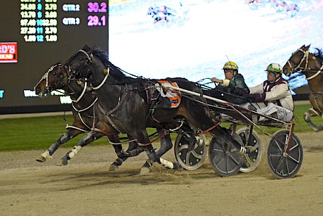 Both American Dealer and Krug, pictured battling it out here in a Sires Stakes heat last year, have drawn terribly in the Three-Year-Old Emerald.