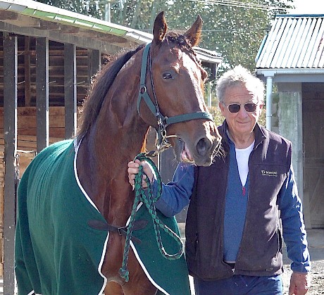 Trainer Ray Green noted Copy That’s terrific recovery rate when taking the horse for a walk after his heat today.