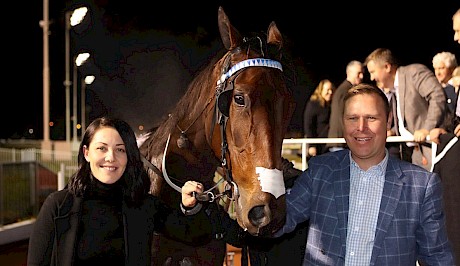 Bettor Twist is a $1.55 favourite after her last start win in the New Zealand Oaks.