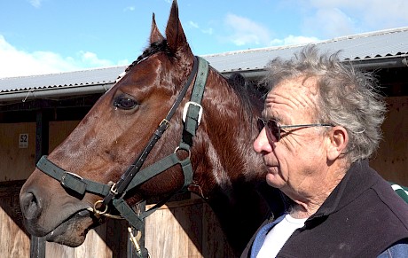 Reigning Four-Year-Old Emerald fancy Copy That with trainer Ray Green at Cambridge last Saturday.