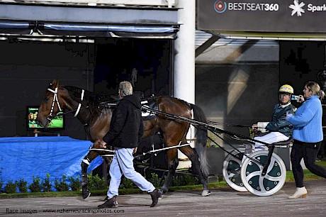 Captain Nemo’s last return to the Alexandra Park stables is a triumphant one. Trainer Ray Green greets the horse while driver David Butcher fields questions from Jo Stevens. PHOTO: Megan Liefting.