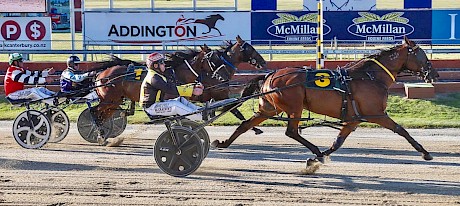 Laver, who paced a mile at Nelson in January in 1:51.9, has attracted a $200 bet at odds of 80-to-one. PHOTO: Addington Raceway.